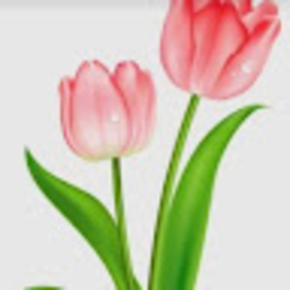 Meet your Posher, Liz